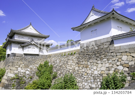 大阪城　千貫櫓（大阪府大阪市） 134203784
