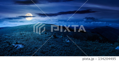 panoramic view of alpine meadows on the mountain top at night. beautiful summer landscape with hills in full moon light. concept for outdoor adventure. background for fake news or conspiracy theory 134204495