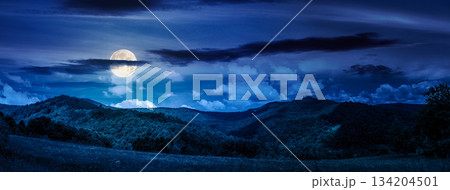panorama of beautiful countryside in summer at night. alpine landscape with forested mountains and grassy field under sky with clouds in full moon light. finance investment or abstract concepts 134204501