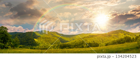 panorama of beautiful countryside in summer at sunset. alpine landscape with forested mountains and grassy field under sky with clouds in evening light. timeless nostalgia book cover with rainbow 134204523