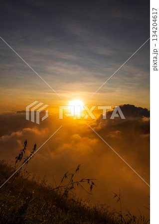 Sunrise over the mountain with expanse of clouds on Mount Anak Dara, Lombok, Indonesia Sunrise over the mountain with expanse of clouds on Mount Anak Dara, Lombok, Indonesia 134204617
