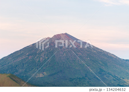 Mount Rinjani Peak dominates pale sky view from Pergasingan Hill. 134204632