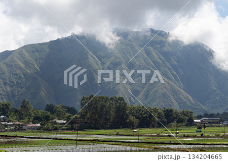 Massive volcano slopes towering Sembalun valley Lombok Indonesia. Massive volcano slopes towering Sembalun valley Lombok Indonesia. 134204665