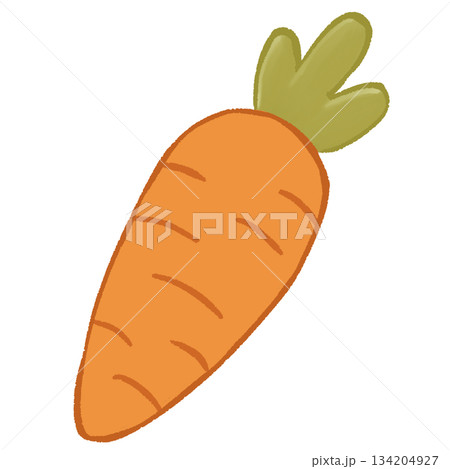 Fresh Garden Carrot of Abundance Keywords: carrot, vegetable, orange, food, bunny, rabbit, cute, natural, organic, spring, healthy, garden, green leaves, bright, harvest, plant, nutrition, charm, farm Fresh Garden Carrot of Abundance Keywords: carrot, vegetable, orange, food, bunny, rabbit, cute, natural, organic, spring, healthy, garden, green leaves, bright, harvest, plant, nutrition, charm, farm 134204927