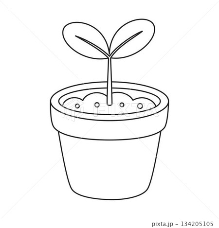 outline seedling in pot 134205105