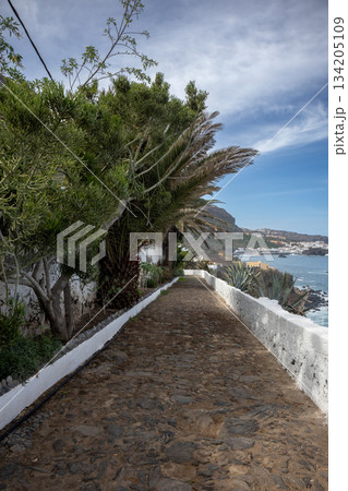 Promenade and Atlantic ocean, Tenerife, Spain 134205109