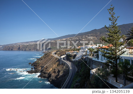 North coast of Atlantic ocean, Tenerife, Spain 134205139