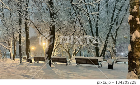 Peaceful snowy park at night with benches, trees and warm glowing street lights creating cozy winter atmosphere. 134205229