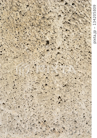 Porous Rough Stone Texture Porous Rough Stone Texture 134205809