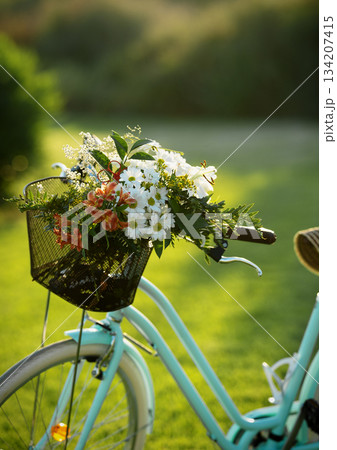 Beautiful blue bike with a basket of flowers Beautiful blue bike with a basket of flowers 134207415
