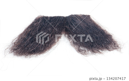 mustache mustache 134207417