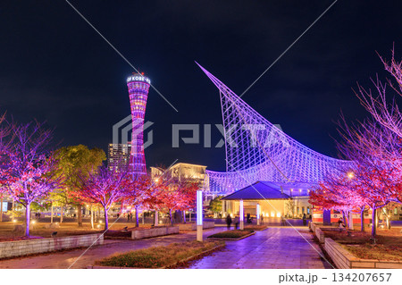 神戸メリケンパークの紅葉ライトアップ (兵庫県神戸市中央区) 神戸メリケンパークの紅葉ライトアップ (兵庫県神戸市中央区) 134207657