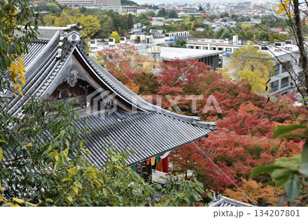永観堂禅林寺 多宝塔から見る御影堂とモミジ(京都市左京区) 永観堂禅林寺 多宝塔から見る御影堂とモミジ(京都市左京区) 134207801