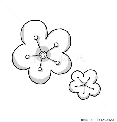 シンプルな梅の花の線画イラスト シンプルな梅の花の線画イラスト 134208428