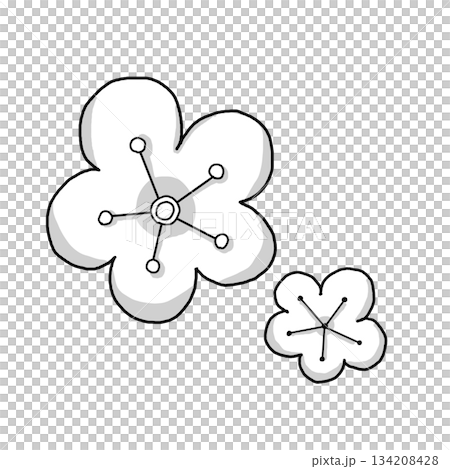 シンプルな梅の花の線画イラスト シンプルな梅の花の線画イラスト 134208428