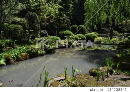 美しい日本庭園 美しい日本庭園 134208845