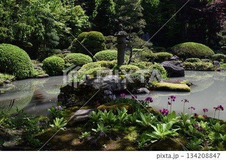 美しい日本庭園 134208847