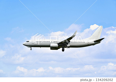 Passenger plane landing at the airport, under a blue sky with white clouds Passenger plane landing at the airport, under a blue sky with white clouds 134209202