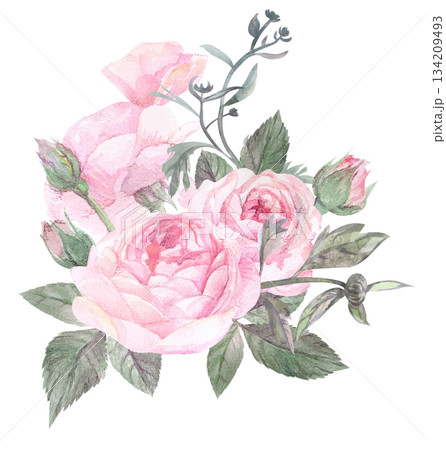 Vintage watercolor illustration with floral arrangement of delicate roses 134209493