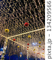 Golden Christmas Light Canopy Decoration Golden Christmas Light Canopy Decoration 134209566