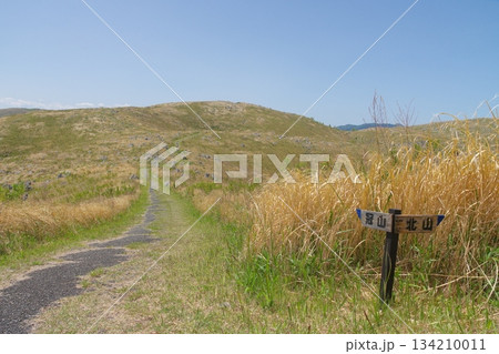 2025年春の枯れ草が残る秋吉台　冠山の眺め 134210011