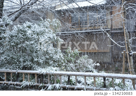京都 祇園白川の雪景色 京都 祇園白川の雪景色 134210083