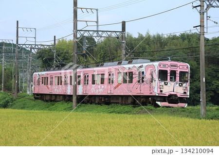 【伊賀鉄道】200系〜忍者列車〜（伊賀線：伊賀神戸〜比土） 134210094