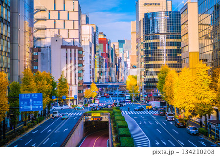 日本の東京都市景観師走。日本経済の憂鬱…ビル街に陰と光…奥は銀座四丁目。その奥に日本橋一丁目再開発 134210208