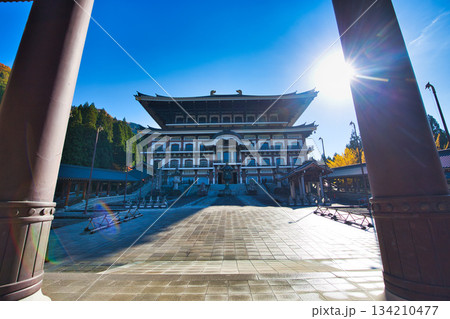 晩秋の越前大仏 134210477