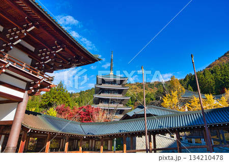 晩秋の越前大仏 134210478