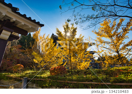 晩秋の越前大仏 134210483