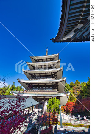 晩秋の越前大仏 134210484