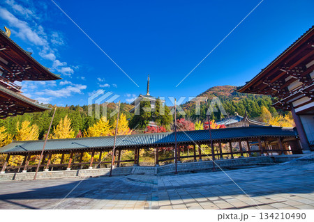 晩秋の越前大仏 134210490