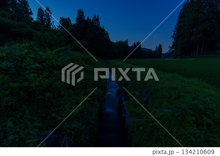 250630津南町下船渡本村のホタル 134210609