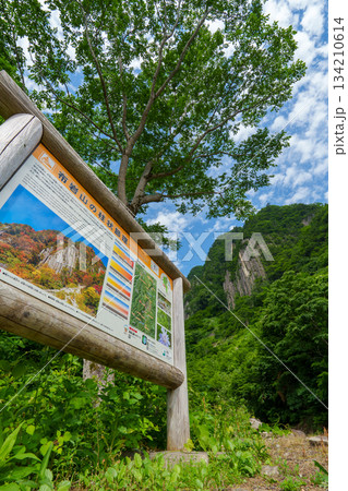 250630秋山郷布岩 134210614