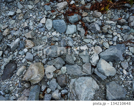 川沿いの小石と地質観察 川沿いの小石と地質観察 134210648