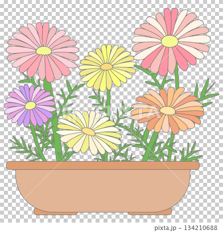 Planted marigolds Planted marigolds 134210688