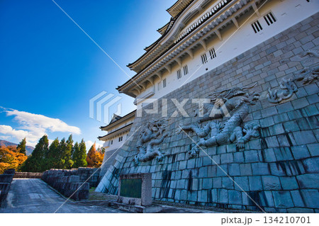 秋の青空に映える勝山城 134210701