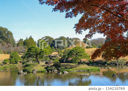熊本 水前寺成趣園の優美な大名庭園の紅葉 熊本 水前寺成趣園の優美な大名庭園の紅葉 134210769