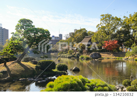 熊本 水前寺成趣園の優美な大名庭園 熊本 水前寺成趣園の優美な大名庭園 134210832