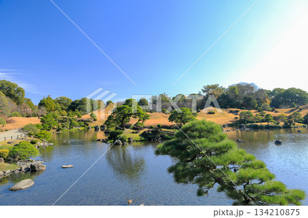 熊本　水前寺成趣園の優美な大名庭園 134210875