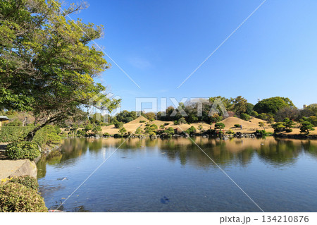 熊本　水前寺成趣園の優美な大名庭園 134210876
