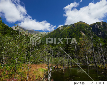 観光名所上高地の岳沢湿原の原始林と水面の風景 観光名所上高地の岳沢湿原の原始林と水面の風景 134211031