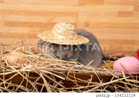 cute gray rabbit wearing a straw hat sitting in a nest of hay with colorful Easter eggs, creating a charming and festive scene perfect for holiday themes and seasonal celebrations cute gray rabbit wearing a straw hat sitting in a nest of hay with colorful Easter eggs, creating a charming and festive scene perfect for holiday themes and seasonal celebrations 134211114