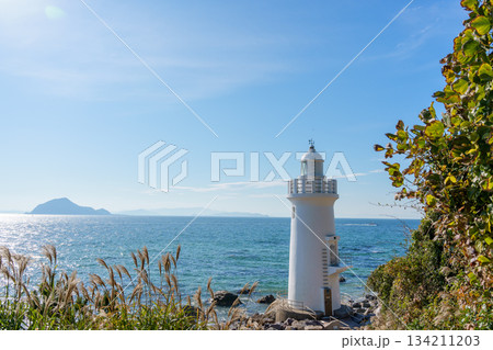 ススキの穂越しに見る伊良湖岬灯台、沖に神島 ススキの穂越しに見る伊良湖岬灯台、沖に神島 134211203
