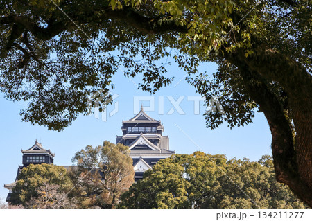 熊本　二の丸駐車場から熊本城天守閣を望む 134211277