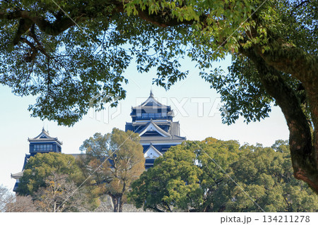 熊本　二の丸駐車場から熊本城天守閣を望む 134211278
