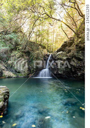静岡県浜松市にある緑の森の中の「仙厳の滝」, 134211293
