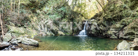 静岡県浜松市にある緑の森の中の「仙厳の滝」パノラマ 134211315