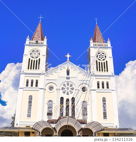 バギオ市のバギオ大聖堂の美しいたたずまい 134211316